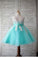 Blue Ball Gown Scoop Sleeveless Bowknot Floor-Length Tulle Appliques Flower Girl Dresses