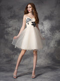 A-line/Princess Sweetheart Applique Sleeveless Short Net Dresses TPP0008793