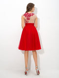 A-Line/Princess Sheer Neck Applique Sleeveless Short Net Cocktail Dresses TPP0008500