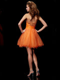 A-Line/Princess Strapless Sleeveless Beading Short Organza Homecoming Dresses TPP0008836