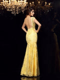 Trumpet/Mermaid V-neck Applique Sleeveless Long Lace Dresses TPP0003586