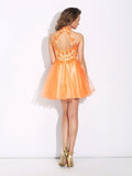A-Line/Princess High Neck Ruffles Sleeveless Short Net Dresses TPP0008857