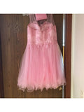 A-Line/Princess Sleeveless Scoop Applique Tulle Short/Mini Dresses TPP0008972