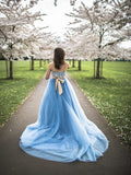 Ball Gown Sleeveless Tulle Sweep/Brush Train Sweetheart Applique Dresses TPP0004775